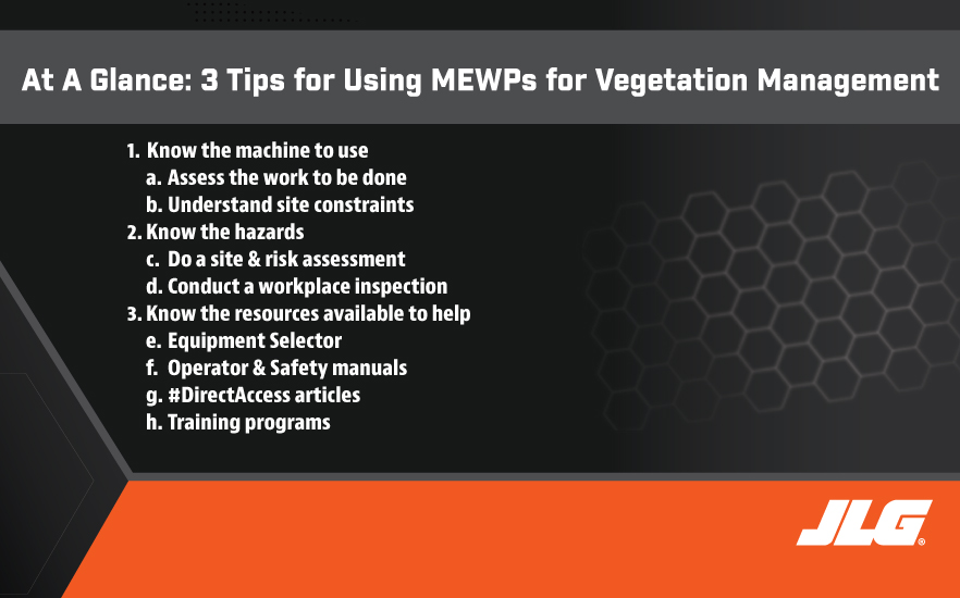 MEWPs for Vegetation Management at a Glance