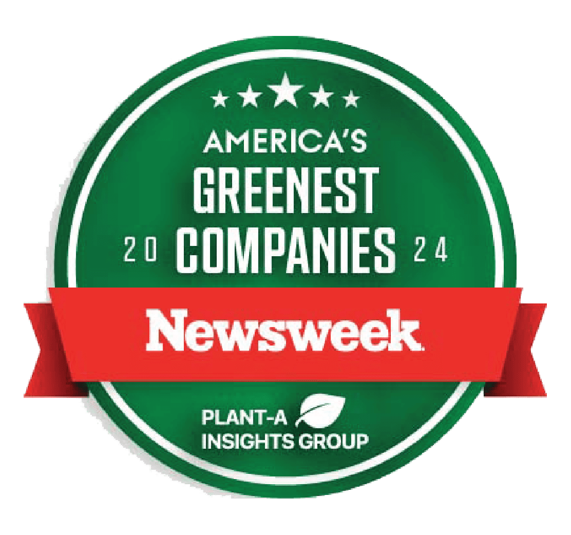Green and red 2024 Newsweek America